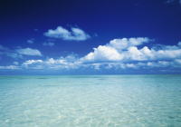 �����C���[�W